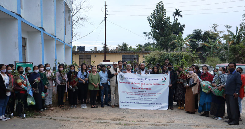 Farmers from Medziphema, Hekheshe and New SocÃ¼Ã¼noma villages during the training on â€˜promotion of onion & garlic cultivationâ€™ at SASRD, NU, Medziphema Campus on December 6. (Photo Courtesy: SASRD NU)